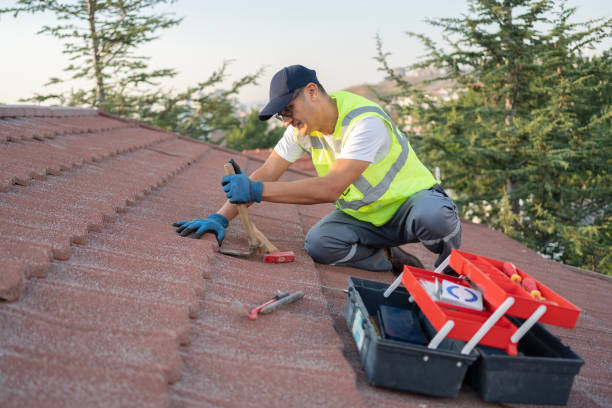 Best Storm Damage Roof Repair  in Bean Station, TN